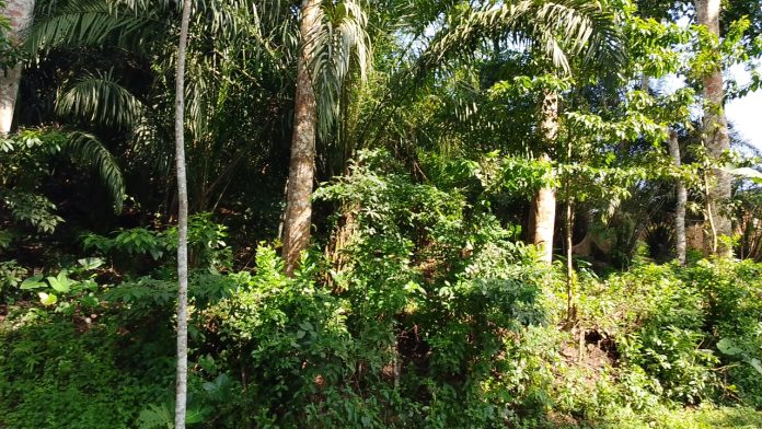 IMG-20260914-WA0097